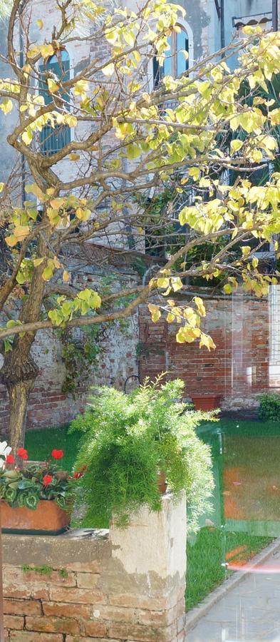 B&B Hortus Venecia Exterior foto
